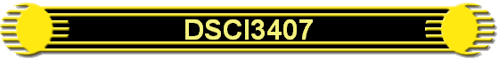 DSCI3407