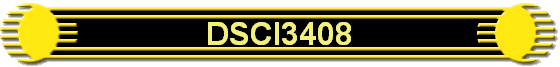 DSCI3408