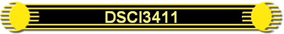 DSCI3411