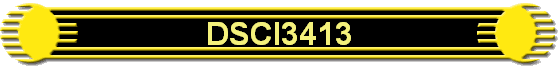 DSCI3413