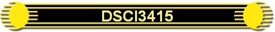DSCI3415