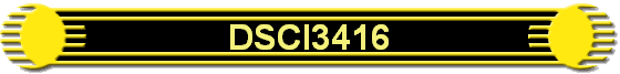 DSCI3416