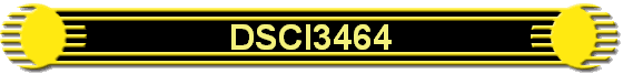 DSCI3464