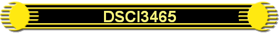 DSCI3465
