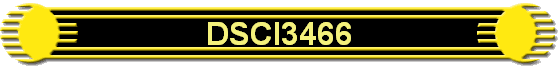 DSCI3466