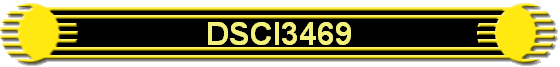 DSCI3469