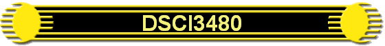 DSCI3480