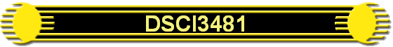 DSCI3481