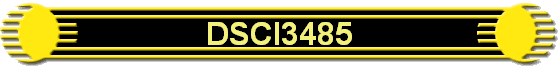 DSCI3485