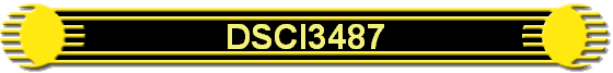 DSCI3487