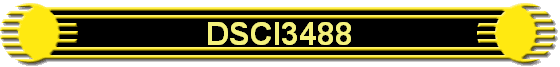 DSCI3488