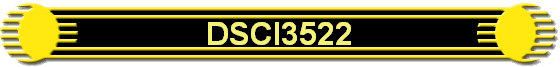 DSCI3522