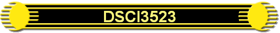 DSCI3523