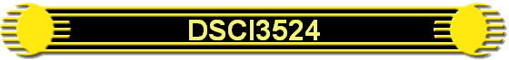 DSCI3524