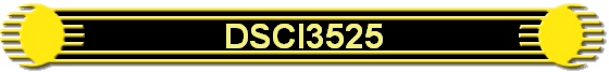 DSCI3525