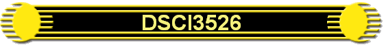 DSCI3526