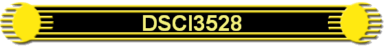 DSCI3528