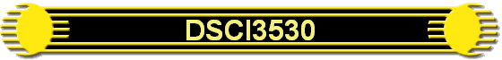 DSCI3530