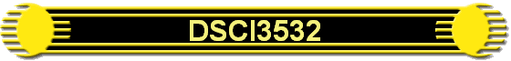 DSCI3532