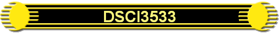 DSCI3533