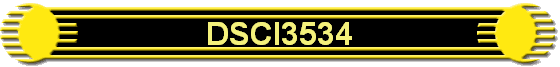 DSCI3534