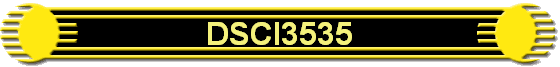 DSCI3535