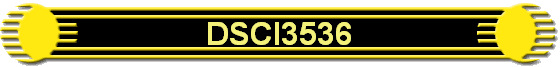 DSCI3536