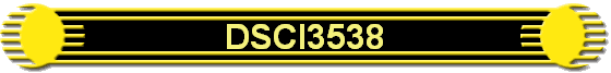 DSCI3538