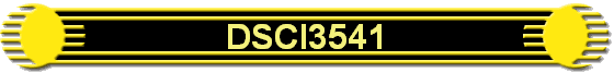 DSCI3541
