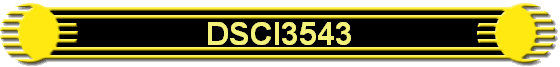 DSCI3543