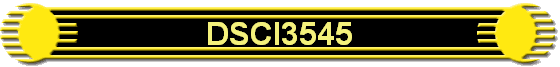 DSCI3545