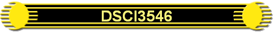 DSCI3546
