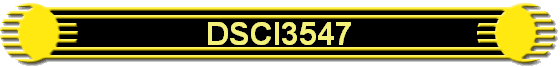 DSCI3547