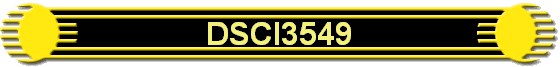 DSCI3549