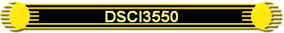 DSCI3550