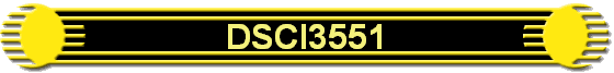 DSCI3551