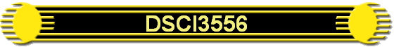 DSCI3556