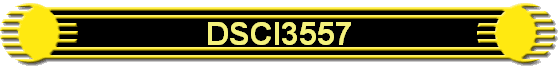 DSCI3557