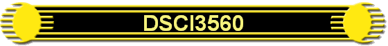 DSCI3560