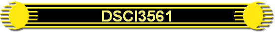 DSCI3561