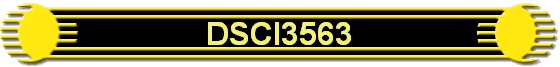 DSCI3563