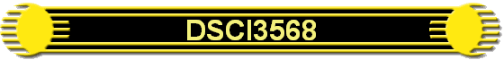 DSCI3568