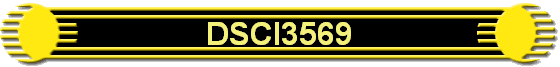 DSCI3569